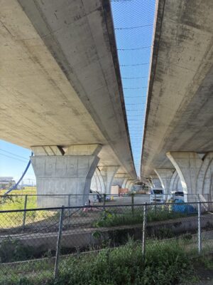 IMG_9528.jpeg