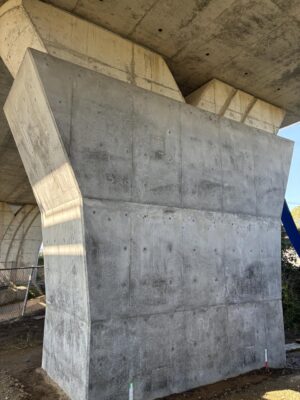 IMG_9529.jpeg